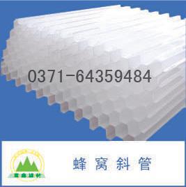 б�ܣ��۱�ϩpp���|(zh��)��